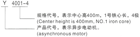 西安泰富西玛Y系列(H355-1000)高压杨陵三相异步电机型号说明